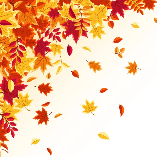 秋の紅葉。赤、オレンジ、黄色の葉を持つ自然背景。葉が飛んでる。シーズン販売。ベクターイラスト. — ストックベクタ