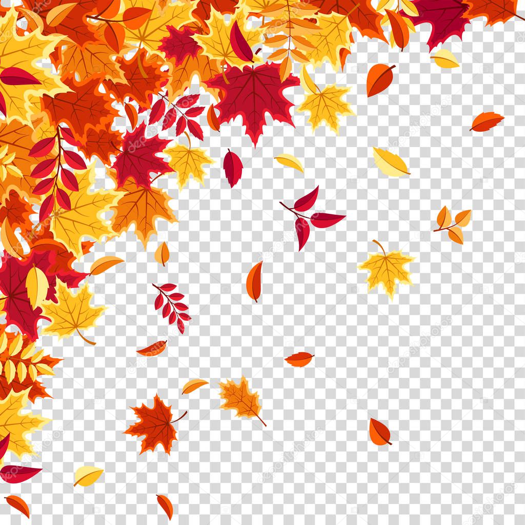 Autumn falling leaves. Nature background with red, orange, yellow foliage. Flying leaf. Season sale. Vector illustration.