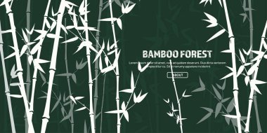 Bambu orman seti. Doğa. Japonya, Çin. Bitki. Yapraklı yeşil ağaç. Asya 'da yağmur ormanları.