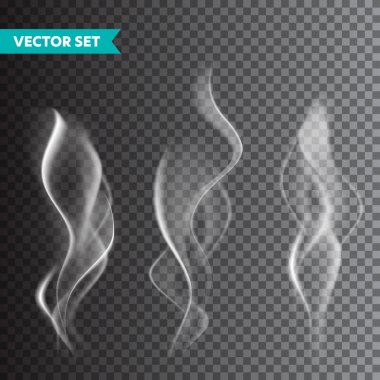 Realistic cigarette smoke set isolated on transparent background. Vector vapor in air, steam flow. Fog, mist effect. clipart
