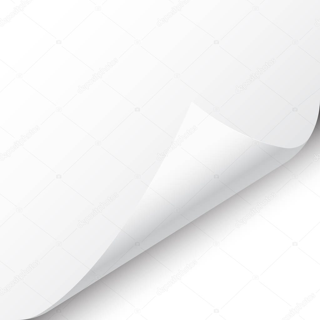 Curled page corner with shadow on white background. Blank sheet of paper. Vector illustration.