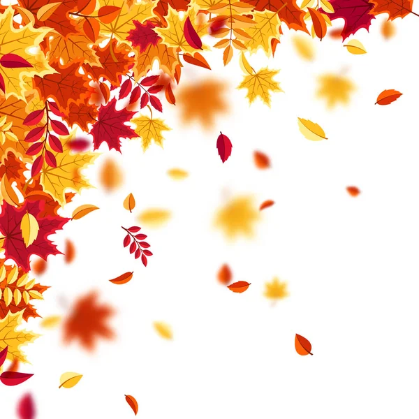 Autunno foglie cadenti. Fondo naturale con fogliame rosso, arancio, giallo. Foglia volante. Vendita stagionale. Illustrazione vettoriale. — Vettoriale Stock