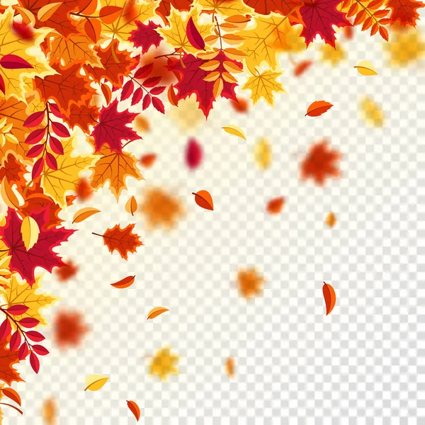 Hojas que caen en otoño. Fondo natural con follaje rojo, naranja, amarillo. Hoja voladora. Venta de temporada. Ilustración vectorial. — Archivo Imágenes Vectoriales