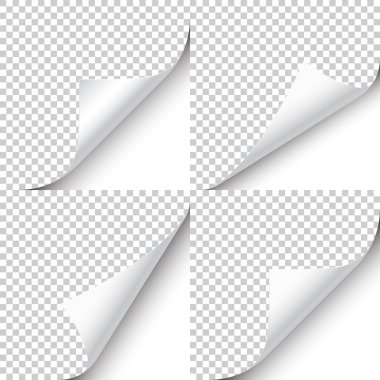 Saydam arkaplan koleksiyonunda gölgesi olan kıvrımlı sayfa köşesi. Boş bir kağıt parçası. Vektör illüstrasyonu.