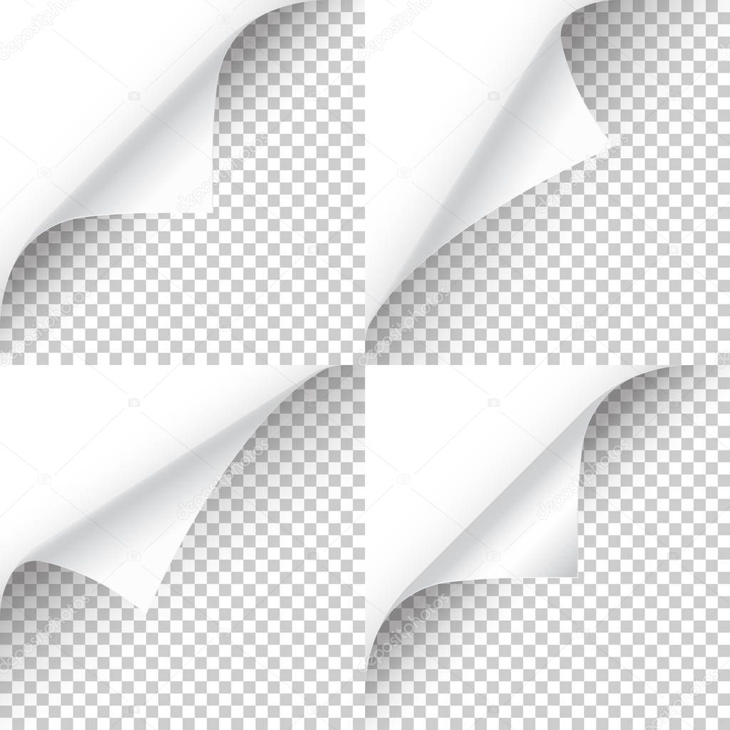 Curled page corner with shadow on transparent background collection. Blank sheet of paper. Vector illustration.