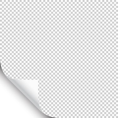 Saydam arka planda gölgesi olan küçük kıvrılmış sayfa köşesi. Boş kağıt. Vektör çizimi.