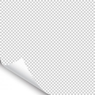 Saydam arka planda gölgesi olan küçük kıvrılmış sayfa köşesi. Boş kağıt. Vektör çizimi.