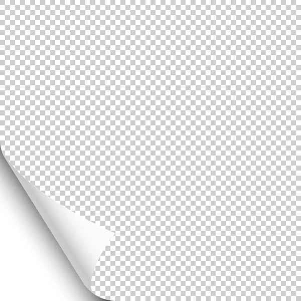 Litet hoprullade sid hörn med skugga på transparent bakgrund. Ett tomt pappersark. Vektor illustration. — Stock vektor