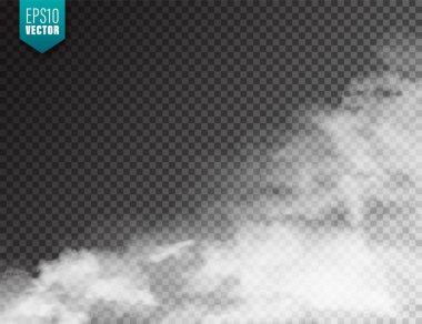  Gerçekçi sis, sis etkisi. Duman şeffaf arka planda izole. Havadaki vektör buharı, buhar akışı. Bulut.