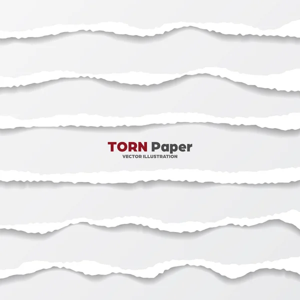 Realistic torn paper edges collection on gray background. White ripped paper strips. Vector illustration.