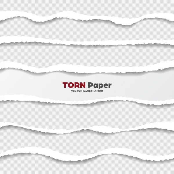 Realistic torn paper edges collection on transparent background. White ripped paper strips. Vector illustration.