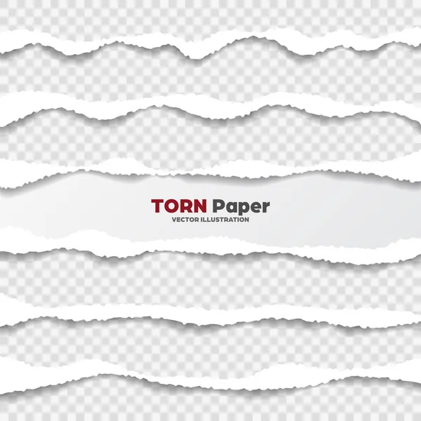 Coleção de bordas de papel rasgado realista em fundo transparente. Tiras de papel rasgadas brancas. Ilustração vetorial . — Vetor de Stock