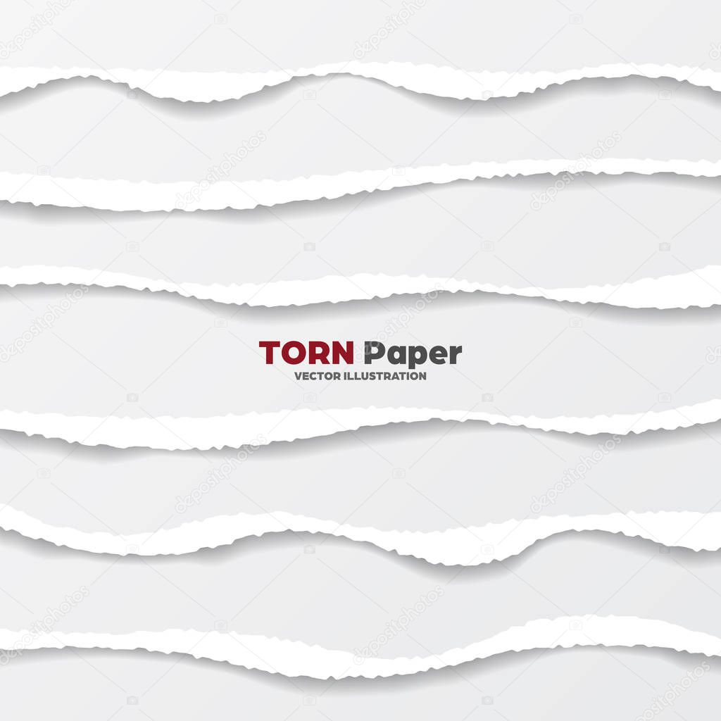 Realistic torn paper edges collection on gray background. White ripped paper strips. Vector illustration.