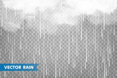Şeffaf arka planda bulutlar ile gerçekçi yağmur. Yağış, su damlaları etkisi. Sonbahar ıslak yağmurlu bir gün. Vektör çizimi.