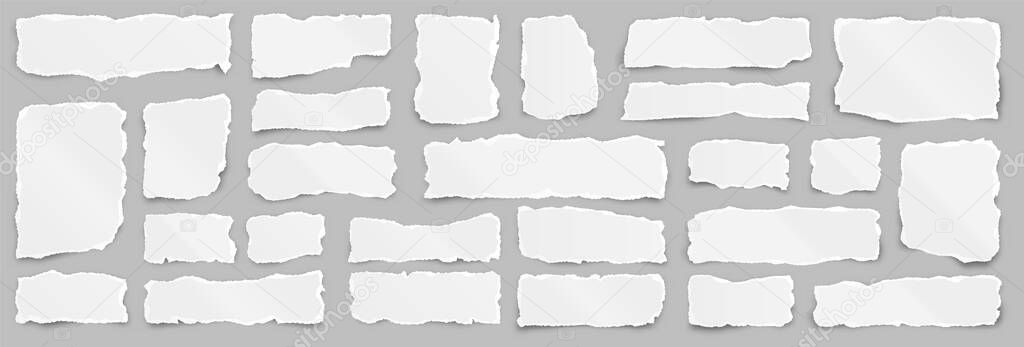 Ripped paper strips. Realistic crumpled paper scraps with torn edges. Shreds of notebook pages. Vector illustration.