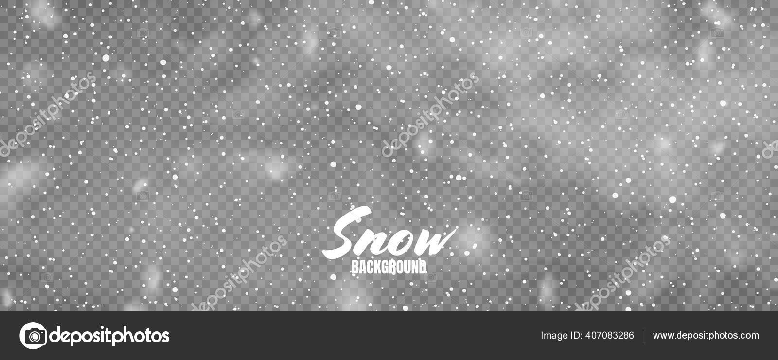 雪の結晶と現実的な落下雪 クリスマスや新年のカードのための冬の透明背景 霜嵐の効果 ベクターイラスト ストックベクター C Floral Set