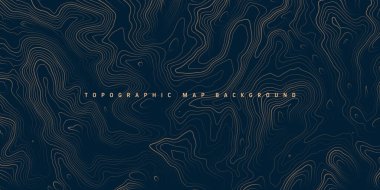 Sınır çizgileri olan topografik harita. Coğrafi arazi şebekesi, rahatlama yüksekliği. Yer yolu deseni. Seyahat ve seyrüsefer, harita tasarım elementi. Vektör illüstrasyonu.