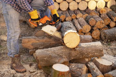 İşçi bir testere ile çalışır. Testere yakın çekim.