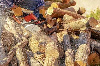Oduncu testere Ağaç Kereste fabrikası chainsaw ile. Eylem kesme Ahşap testere. Adam kesme ahşap testereyle, toz ve