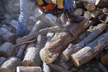 İşçi bir testere ile çalışır. Testere kapatın. Oduncu testere Ağaç Kereste fabrikası chainsaw ile. Eylem kesme Ahşap testere. Adam kesme Ahşap testere, toz ve hareketleri ile.