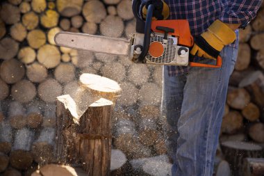 İşçi bir testere ile çalışır. Testere kapatın. Oduncu testere Ağaç Kereste fabrikası chainsaw ile. Eylem kesme Ahşap testere. Adam kesme Ahşap testere, toz ve hareketleri ile.
