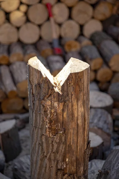 労働者は チェーンソーで動作します チェーンソーをクローズ アップ 製材所にチェーンソーで伐採鋸木 アクションに木材を切断のチェーンソー 木を見た ほこりや動きを切る男 — ストック写真