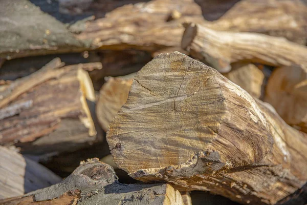 Cross Section Timber Firewood Stack Background Lot Cutted Logs Stack — Stock Photo, Image