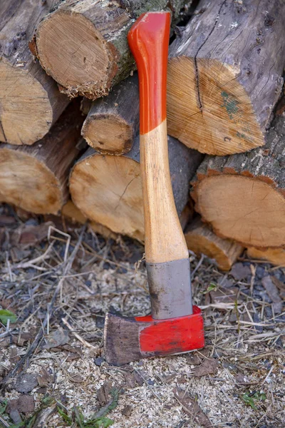 Axe Pařezu Axe Připraven Pro Řezání Dřeva Nástroj Pro Obrábění — Stock fotografie