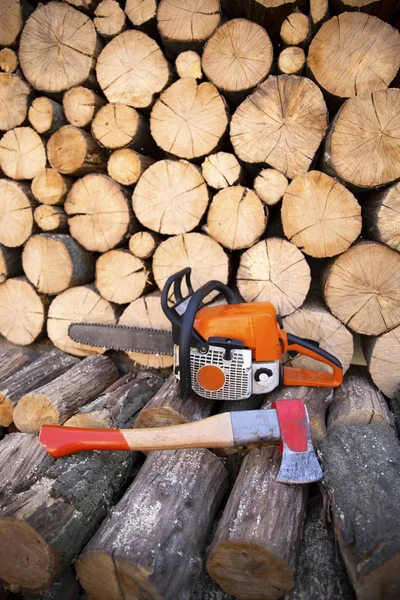 Hacha en muñón. Hacha lista para cortar madera.Herramienta de carpintería. Hacha de madera aserrada en madera, tala de madera . —  Fotos de Stock