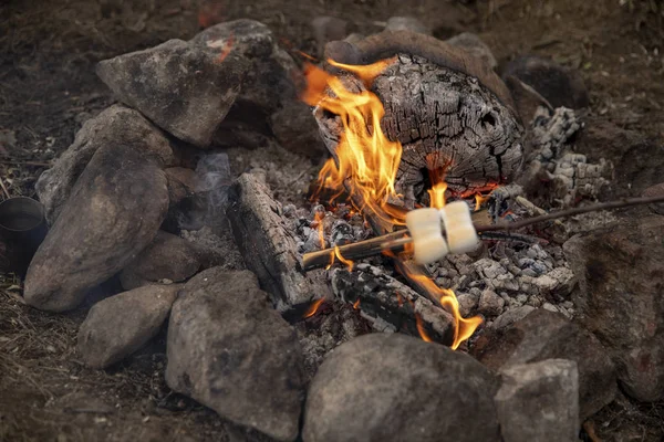 ามาร ชเมลโลว บนไฟ — ภาพถ่ายสต็อก
