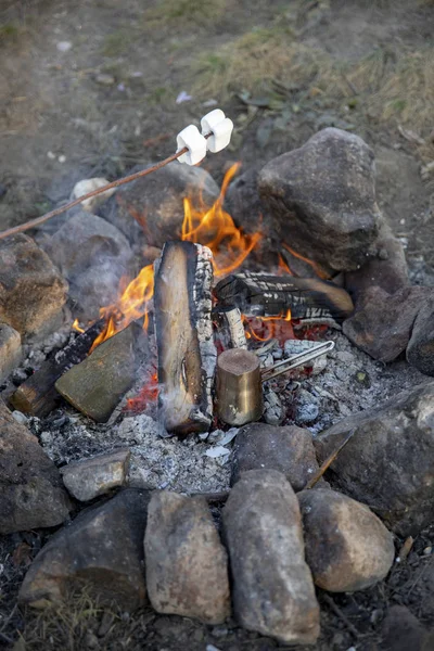 ามาร ชเมลโลว บนไม บนไฟ — ภาพถ่ายสต็อก