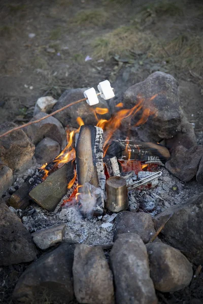 火の棒の上にマシュマロを調理 — ストック写真