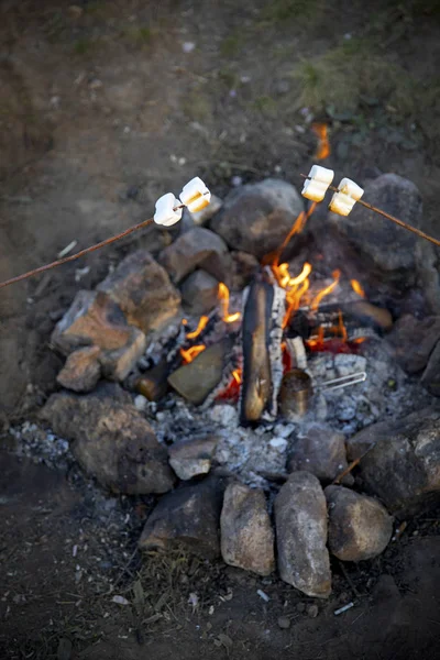 ามาร ชเมลโลว บนไม บนไฟ — ภาพถ่ายสต็อก