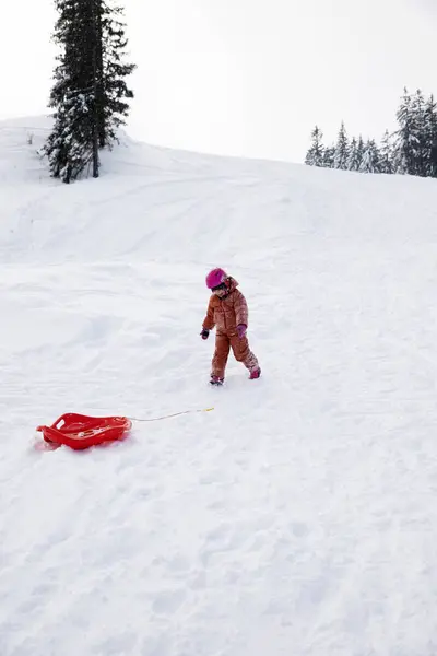 Enfant Monte Traîneau Une Colline — Photo