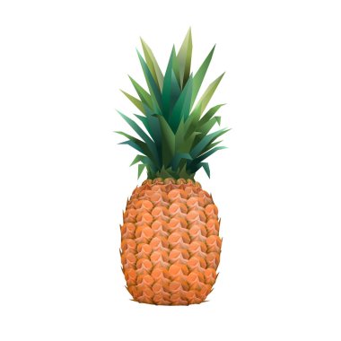 Ananas. Ananas ve beyaz arka plan üzerinde izole dilim. PIN