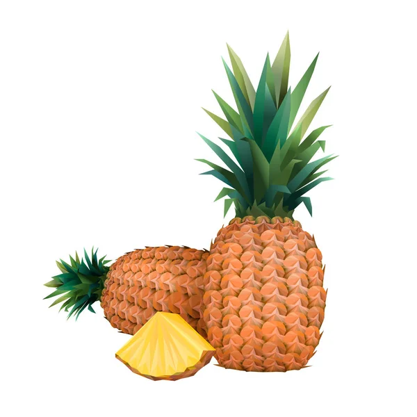 Piña. Piña y rebanada aisladas sobre fondo blanco. Alfiler — Vector de stock