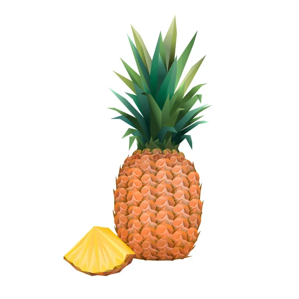 Ananas. Ananas en snijd geïsoleerd op een witte achtergrond. PIN — Stockvector