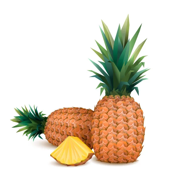 Piña. Piña en estilo Low Poly. Piña y rebanada de isol — Vector de stock