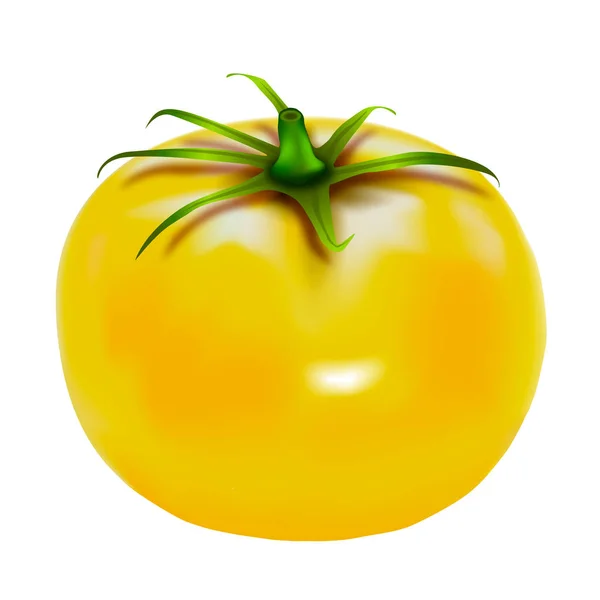 Verre avec jus de tomate. Gros plan de tomate. Tomate rouge . — Image vectorielle