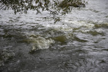 Orman Nehri Şelalesi manzarası. Vahşi nehir akıntılar. Orman vahşi Rive