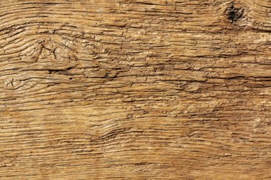 Ahşap dokulu arka plan. Böcekler tarafından şımarık ağaç. 