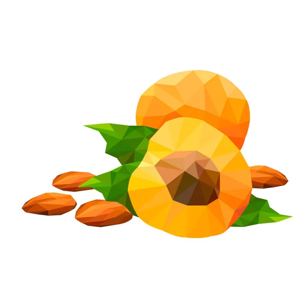 Aprikot. Poligonal buah-aprikot. Buah poligonal. Stil Poli Rendah - Stok Vektor