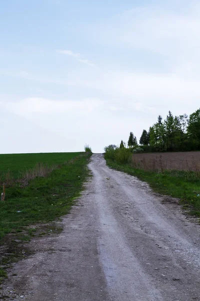 Otoyol. Ormanın yakınındaki yol. Yol işaretlemesi. Yol t gider