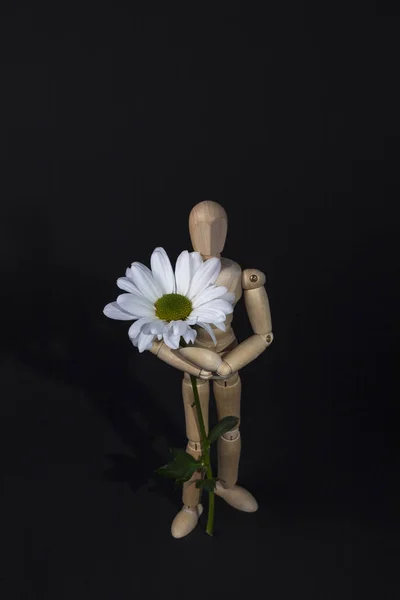 Wooden mannequin. The little man is holding a daisy. The mannequ