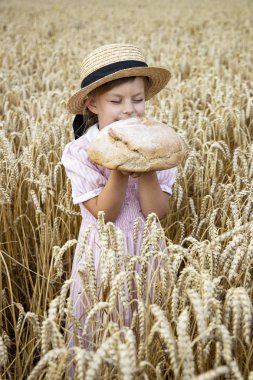 Buğday kulakları arka planda ekmek ile Sepet. Fırın produc