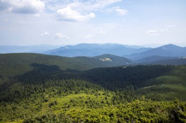 Karpat dağları, orman ve mavi gökyüzü