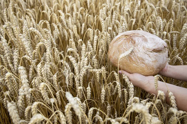 Ruce držící velký kulatý chléb. Pekařské výrobky v košíku na — Stock fotografie