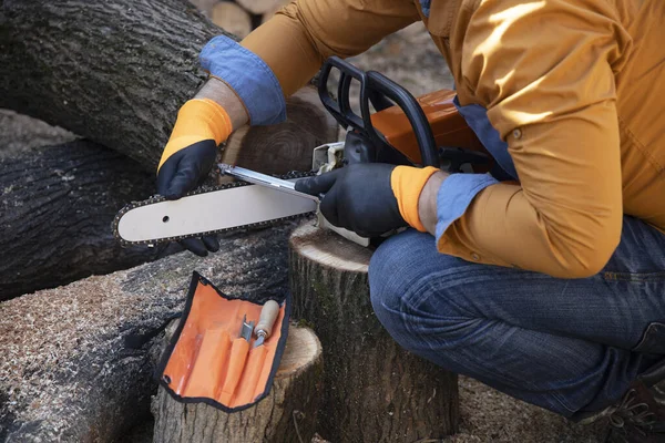 Sharpening a chainsaw Close up on a man sharpening a chainsaw ch