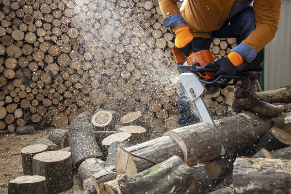 톱으로 나무를 자르는 작업을 하고 있다. 사람은 톱질을 하고 먼지를 일으키며 — 스톡 사진