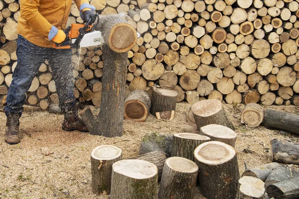 Motosega in azione tagliando legno. Uomo taglio legno con sega, polvere — Foto Stock